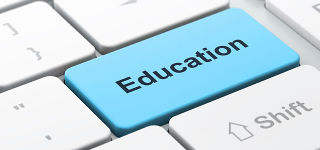 Paelina Insurance Brokers 3