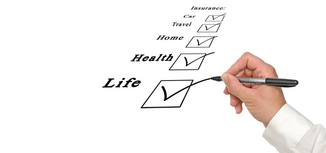 Paelina Insurance Brokers 5