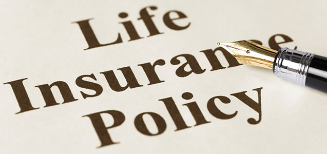 Paelina Insurance Brokers 6